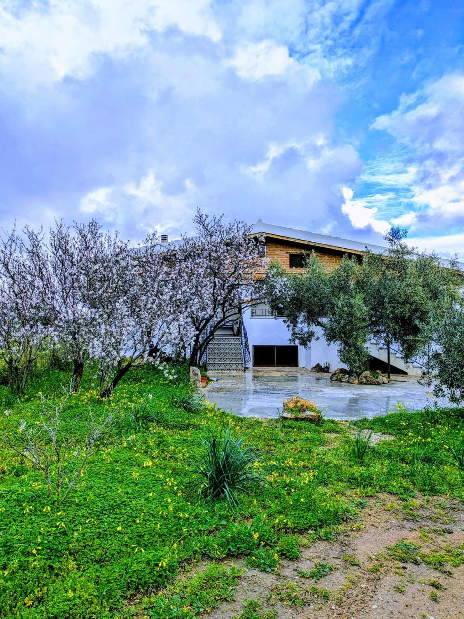 Agriturismo "Pirastreri" Siniscola Εξωτερικό φωτογραφία
