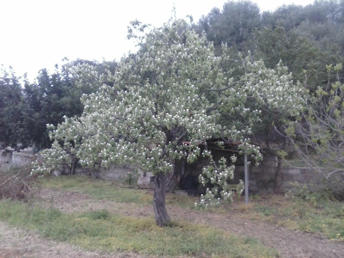 Agriturismo "Pirastreri" Siniscola Εξωτερικό φωτογραφία