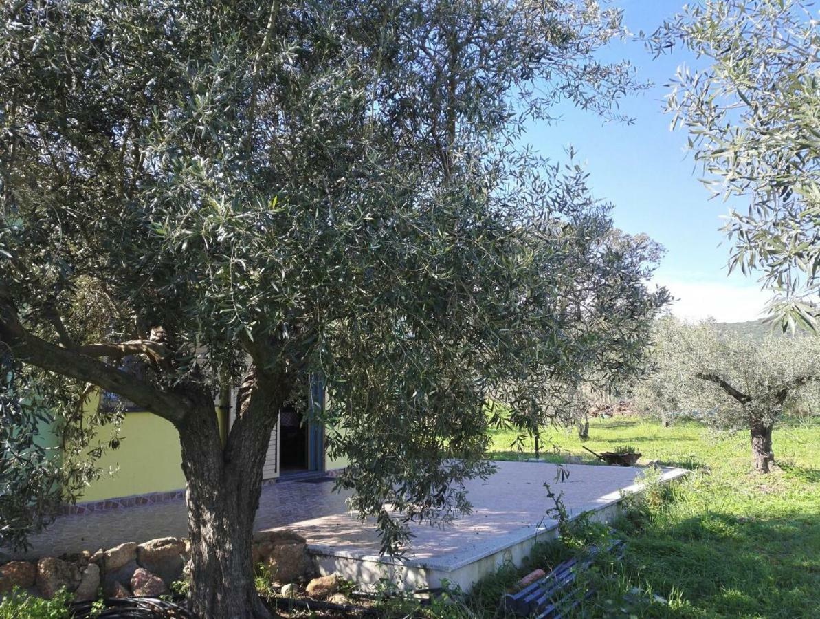 Agriturismo "Pirastreri" Siniscola Εξωτερικό φωτογραφία